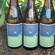 Load image into Gallery viewer, Shuhari Matsumoto ID Series | Sake 3 pack
