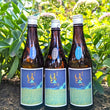 Load image into Gallery viewer, Shuhari Matsumoto ID Series | Sake 3 pack