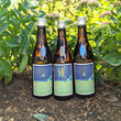 Load image into Gallery viewer, Shuhari Matsumoto ID Series | Sake 3 pack