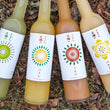 Load image into Gallery viewer, Fresh Fruit Sake Pack | Sake 4 pack