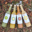 Load image into Gallery viewer, Fresh Fruit Sake Pack | Sake 4 pack