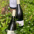 Load image into Gallery viewer, Burgundy 3 Pack | Wine 3 Pack