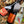 Load image into Gallery viewer, A Toast to Autumn | Sake 3 pack
