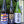 Load image into Gallery viewer, Sushi Dreams | Sake 3 pack
